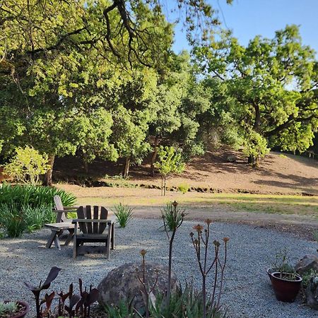 Amitabha Wine Country Cottage 圣罗莎 外观 照片
