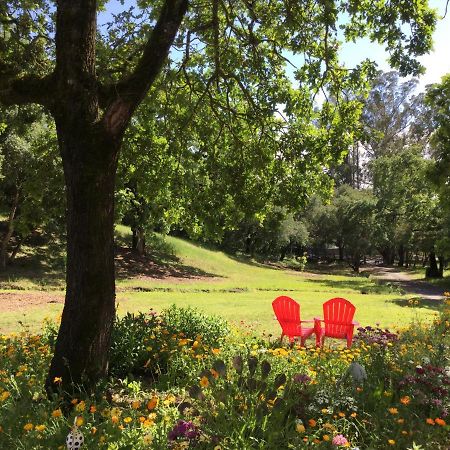 Amitabha Wine Country Cottage 圣罗莎 外观 照片