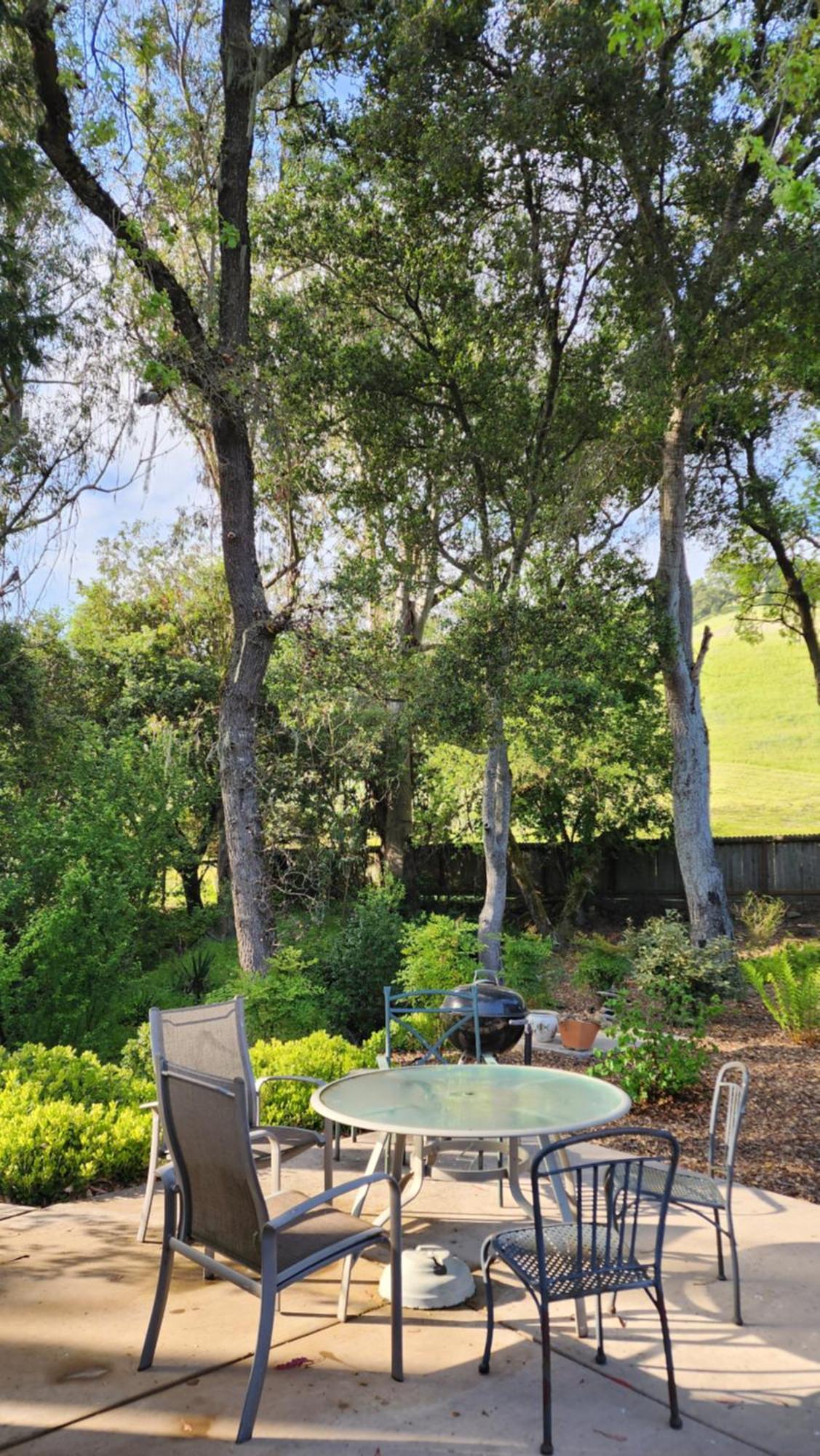 Amitabha Wine Country Cottage 圣罗莎 外观 照片