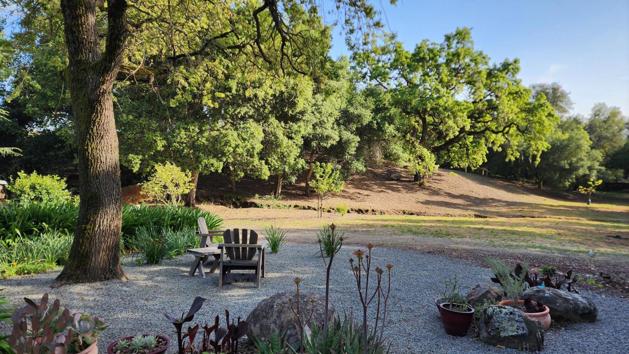 Amitabha Wine Country Cottage 圣罗莎 外观 照片