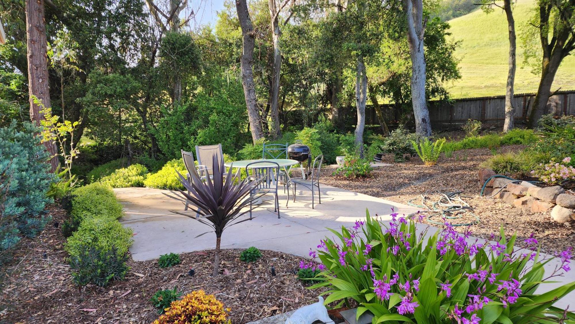 Amitabha Wine Country Cottage 圣罗莎 外观 照片