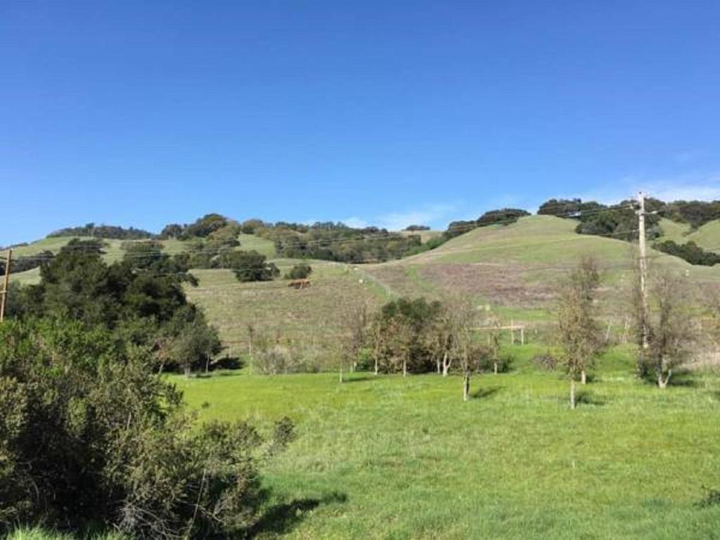Amitabha Wine Country Cottage 圣罗莎 外观 照片