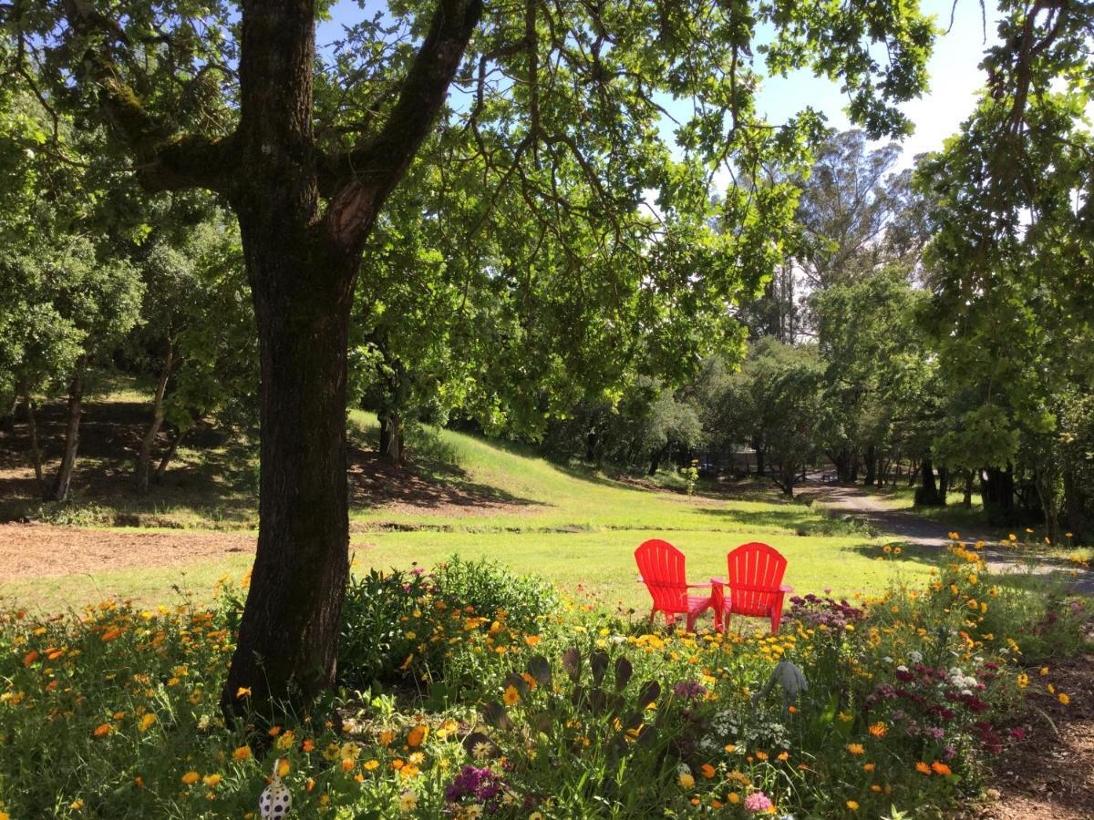 Amitabha Wine Country Cottage 圣罗莎 外观 照片